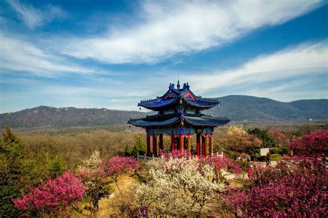 灌雲汽車到南京多久：旅途時長與沿途風景的無盡遐想